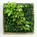 Top vente bricolage amovible Art 3D plante café mur avec feuillage